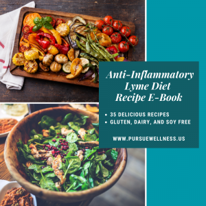 Anti-Inflammatory Lyme Diet Recipe E-Book