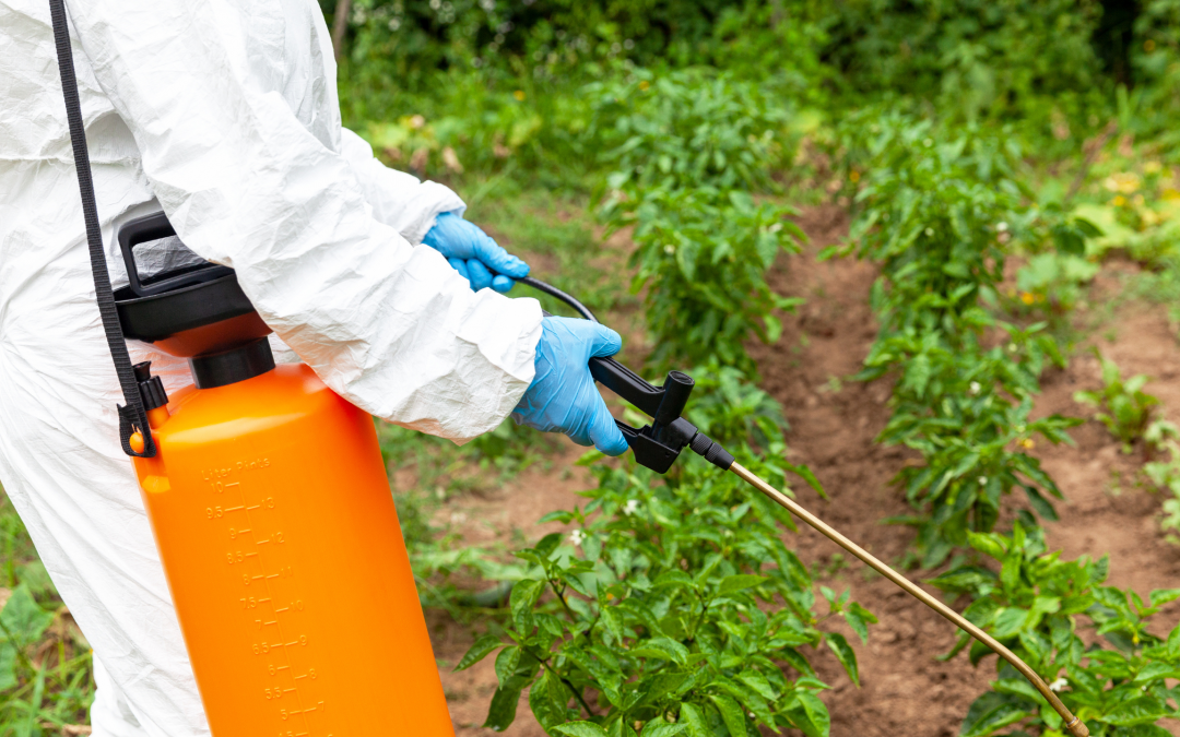 Glyphosate and its effects on health